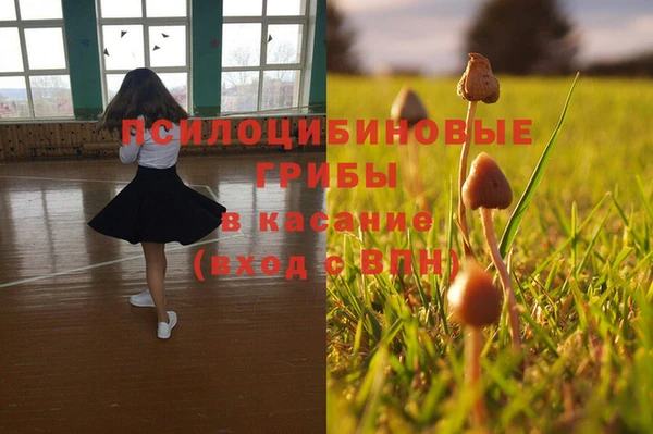 не бодяженный Киренск