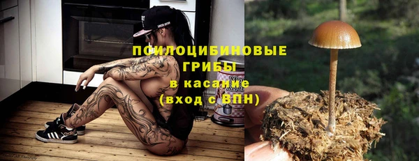гидропоника Фёдоровский